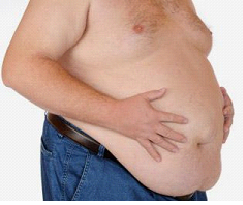 belly-fat